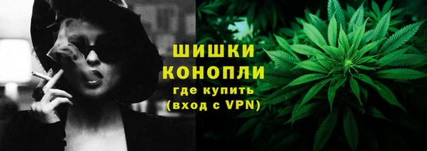 тгк Елизово