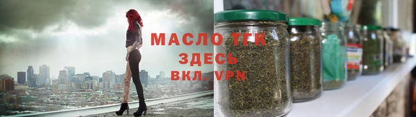 тгк Елизово
